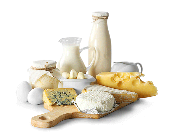 کنترل ایمنی و تضمین کیفیت شیر، پنیر و فراورده های لبنی با دستگاه متال  دتکتور و بازرسی با اشعه ایکس | دیباج صنعت پاسارگاد