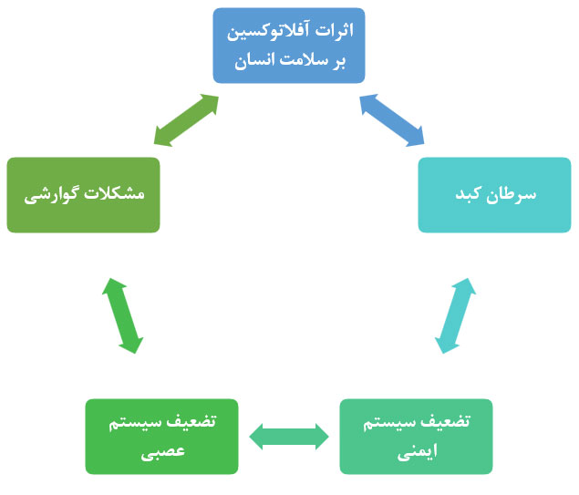 سم آفلاتوکسین، پسته، خشکبار، سورتر پسته، سورتینگ، سرطان کبد