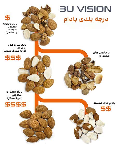 دستگاه کالر سورتر، ماشین سورتر رنگی، سورتر اپتیکال، دستگاه سورتینگ اتوماتیک، سیستم سورتینگ مواد غذایی، دستگاه سورتینگ کشاورزی